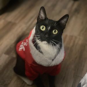 Meet your Posher, Liliana